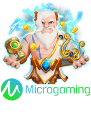 MicroGaming